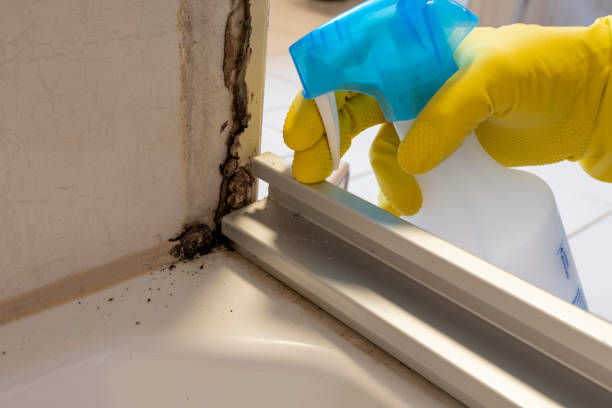 Crawl Space Mold Removal in Boulder, CO