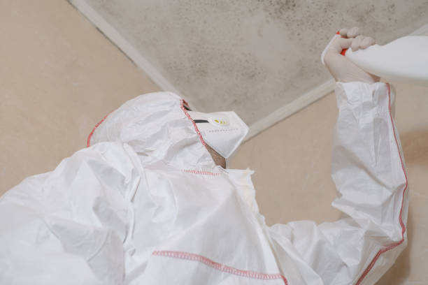 Best Mold Testing  in Boulder, CO