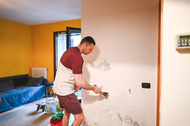 Best Commercial Mold Removal  in Boulder, CO